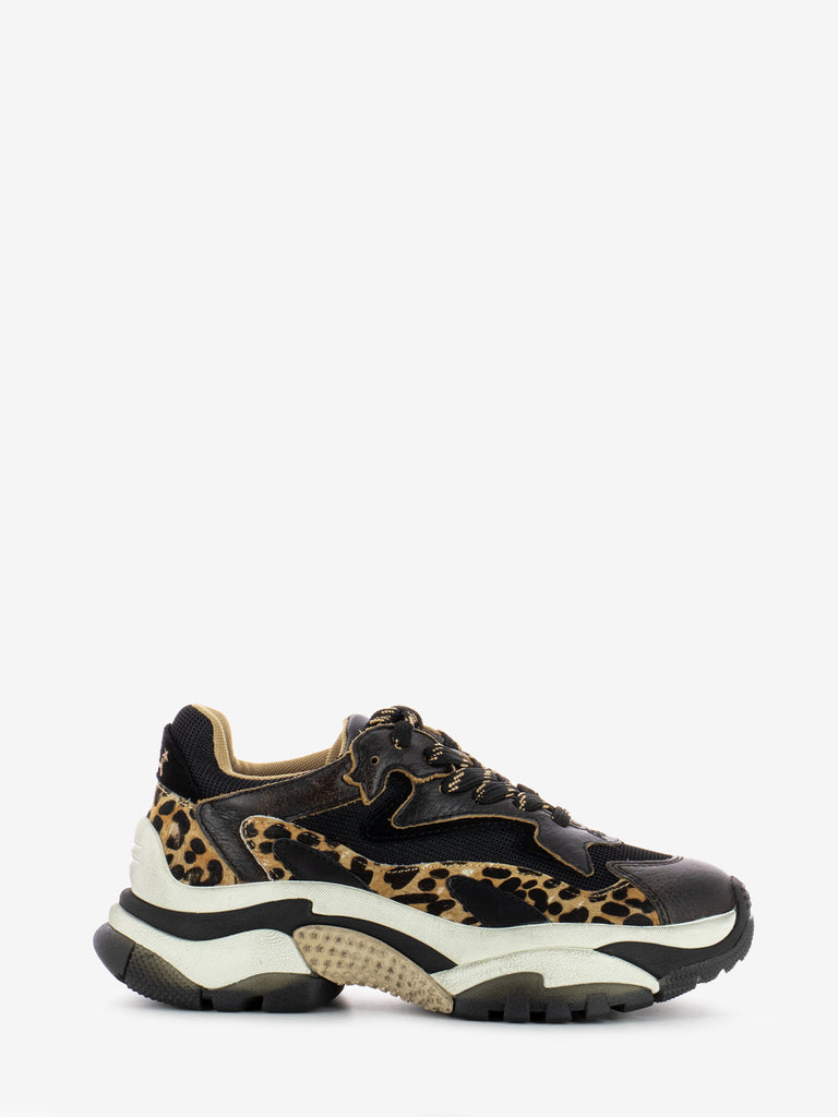 ASH - Sneakers Cycle Addict 04 black / leopard / brown