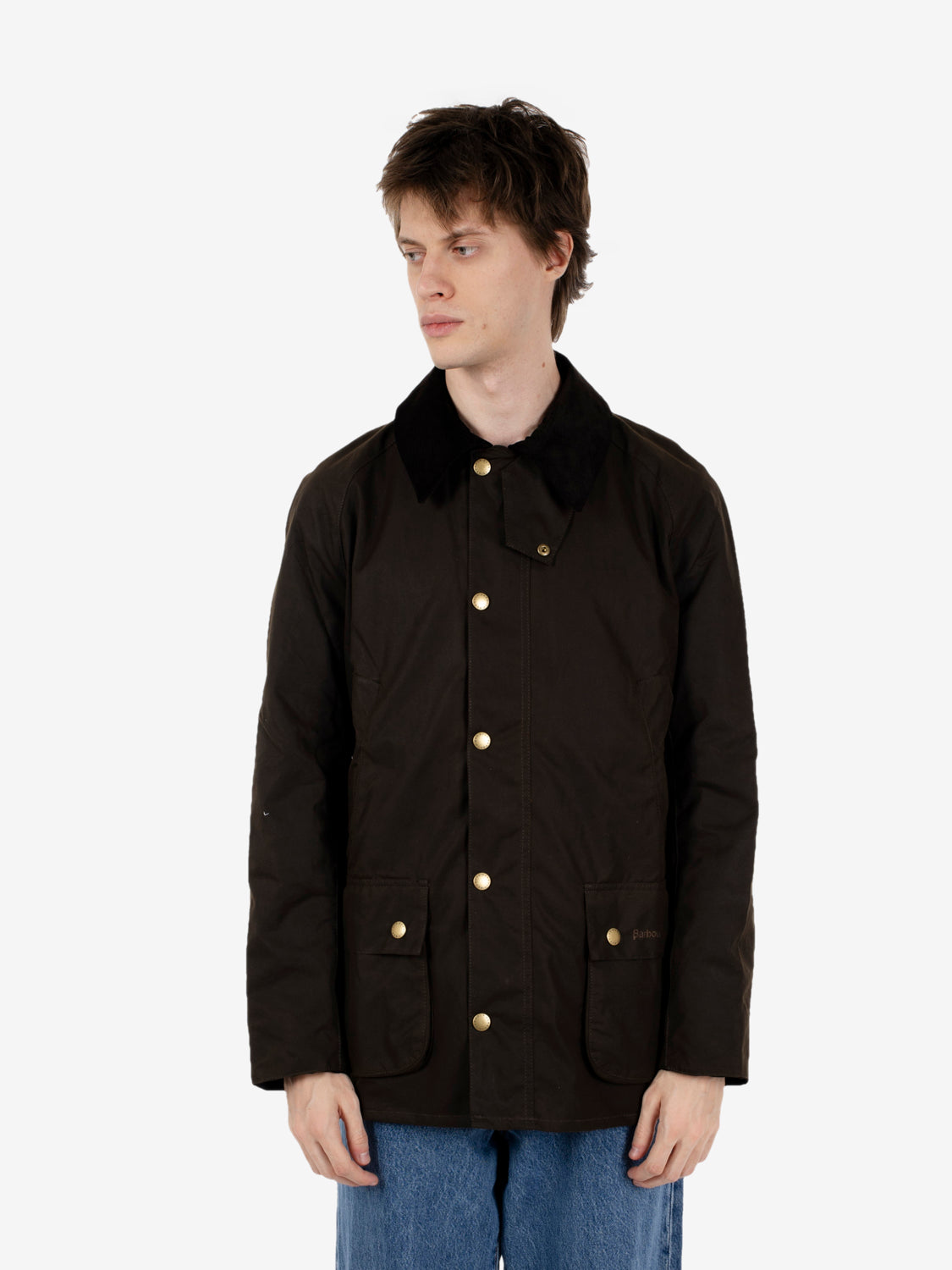 Ashby Wax Jacket olive