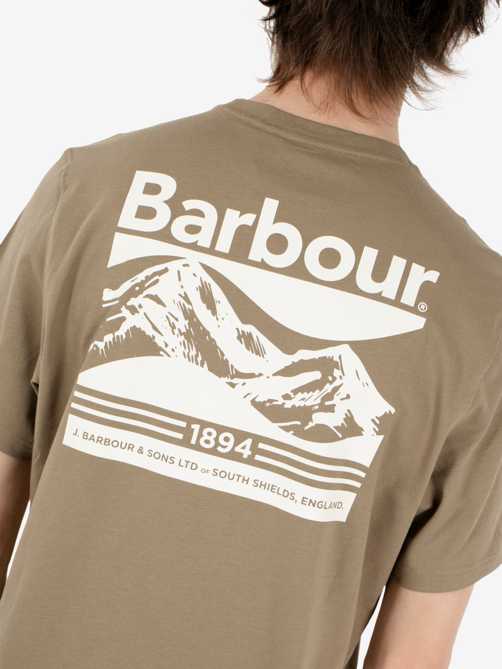 Camber Graphic t-shirt grey olive