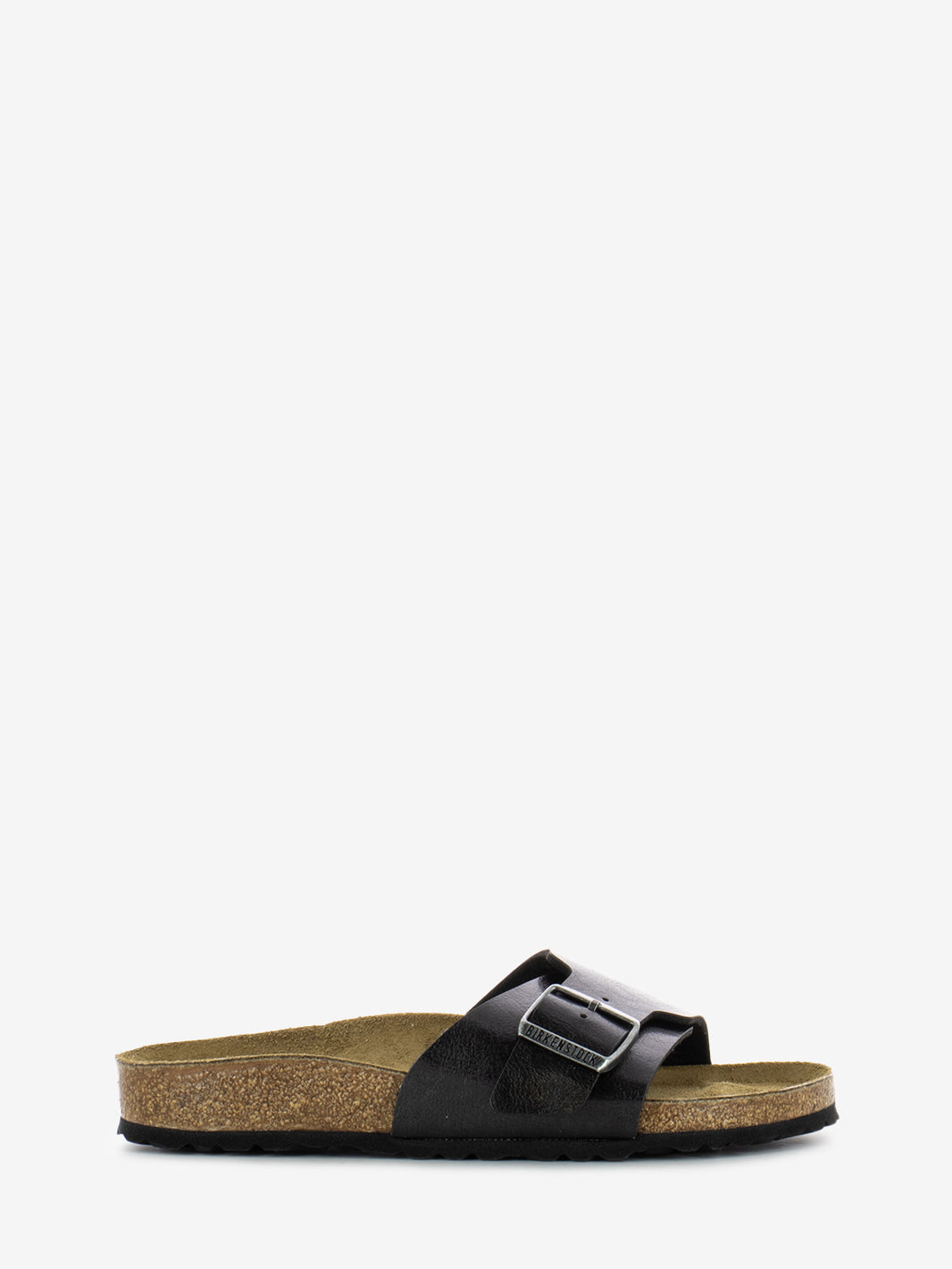 Catalina BS graceful licorice