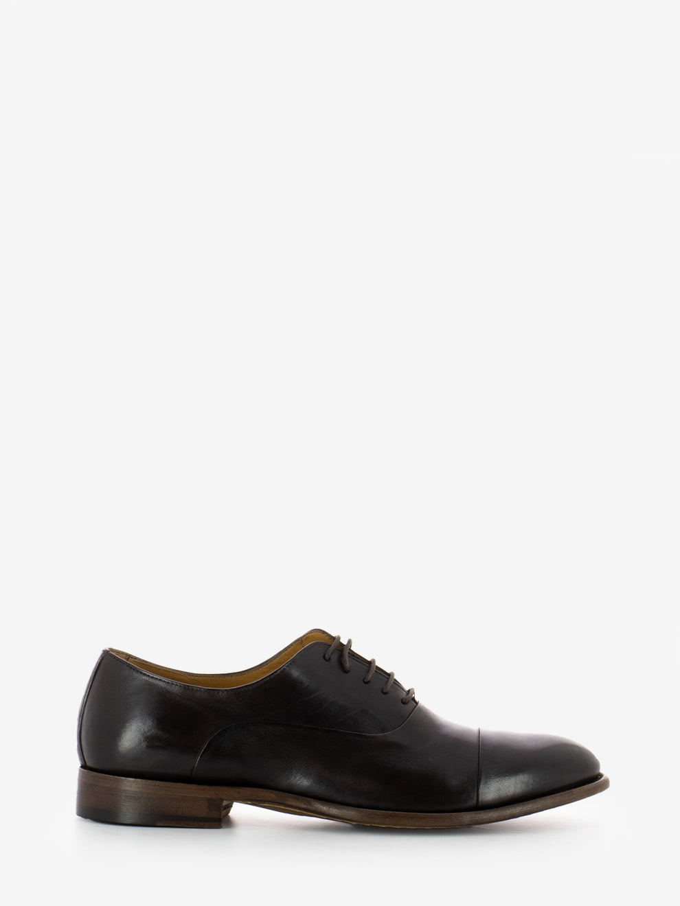 Brown leather anicol Frenchie