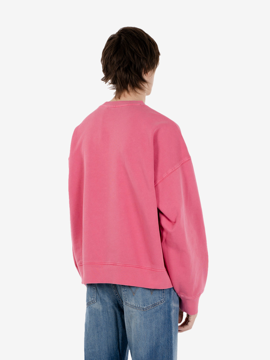 Benton Sweat primrose 