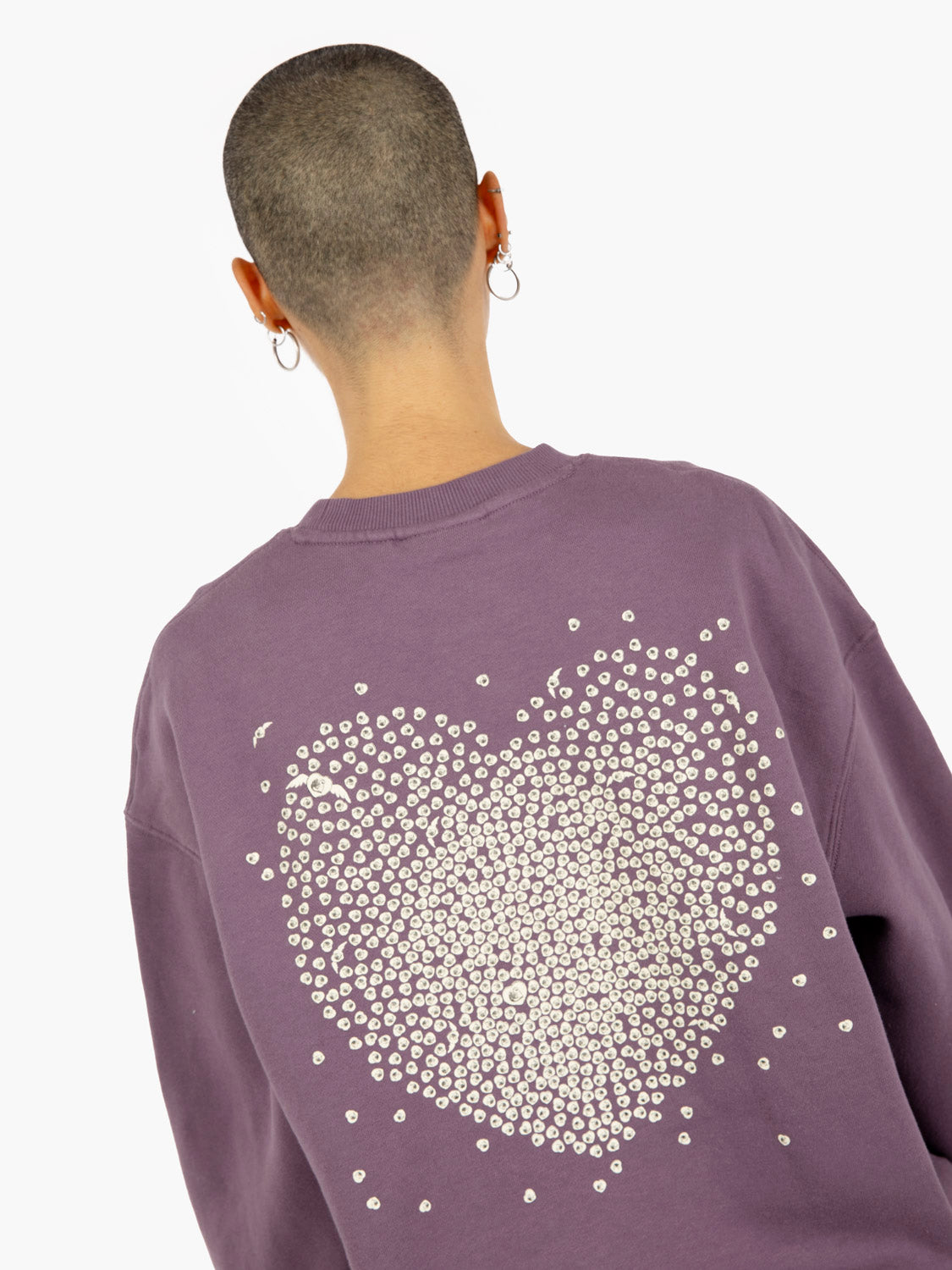 W' Hearths Of Hartts Sweat Phlox