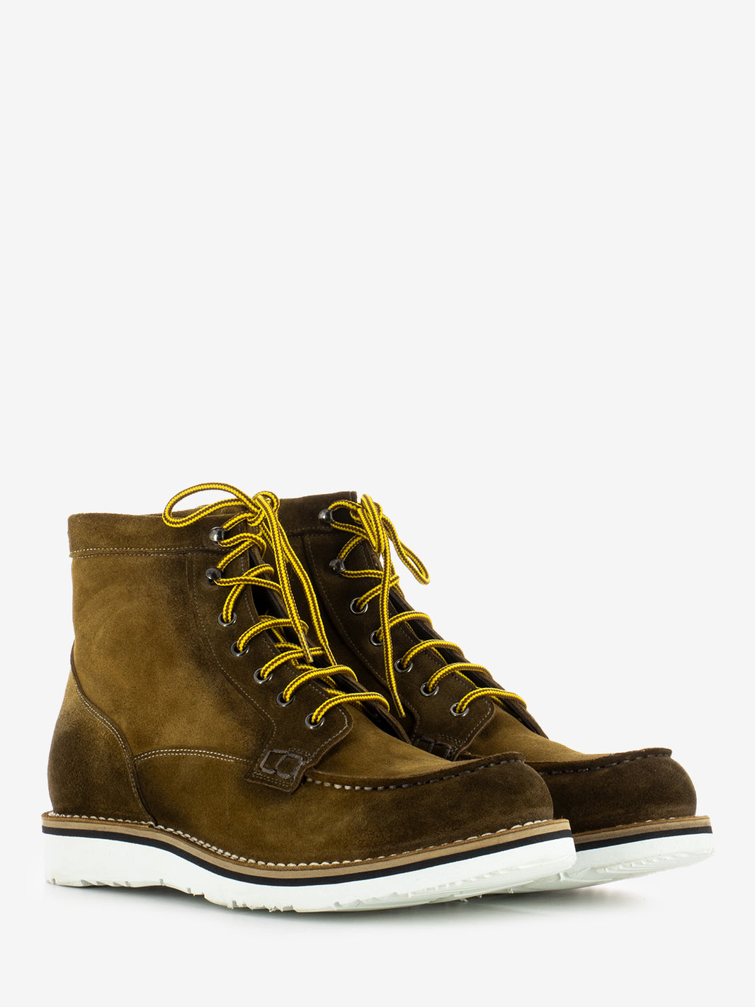 Polacco in suede curry