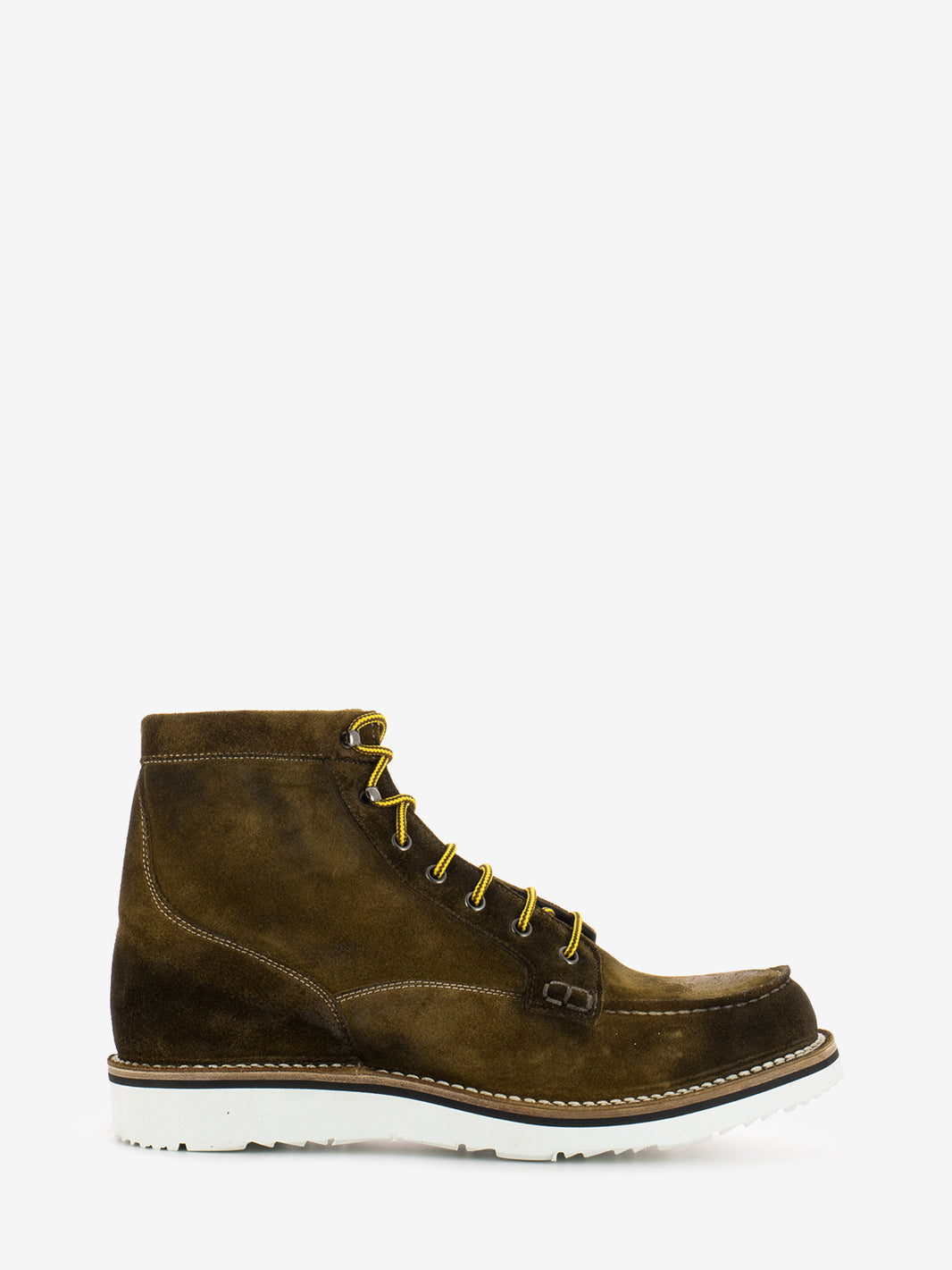 Suede curry amphibians
