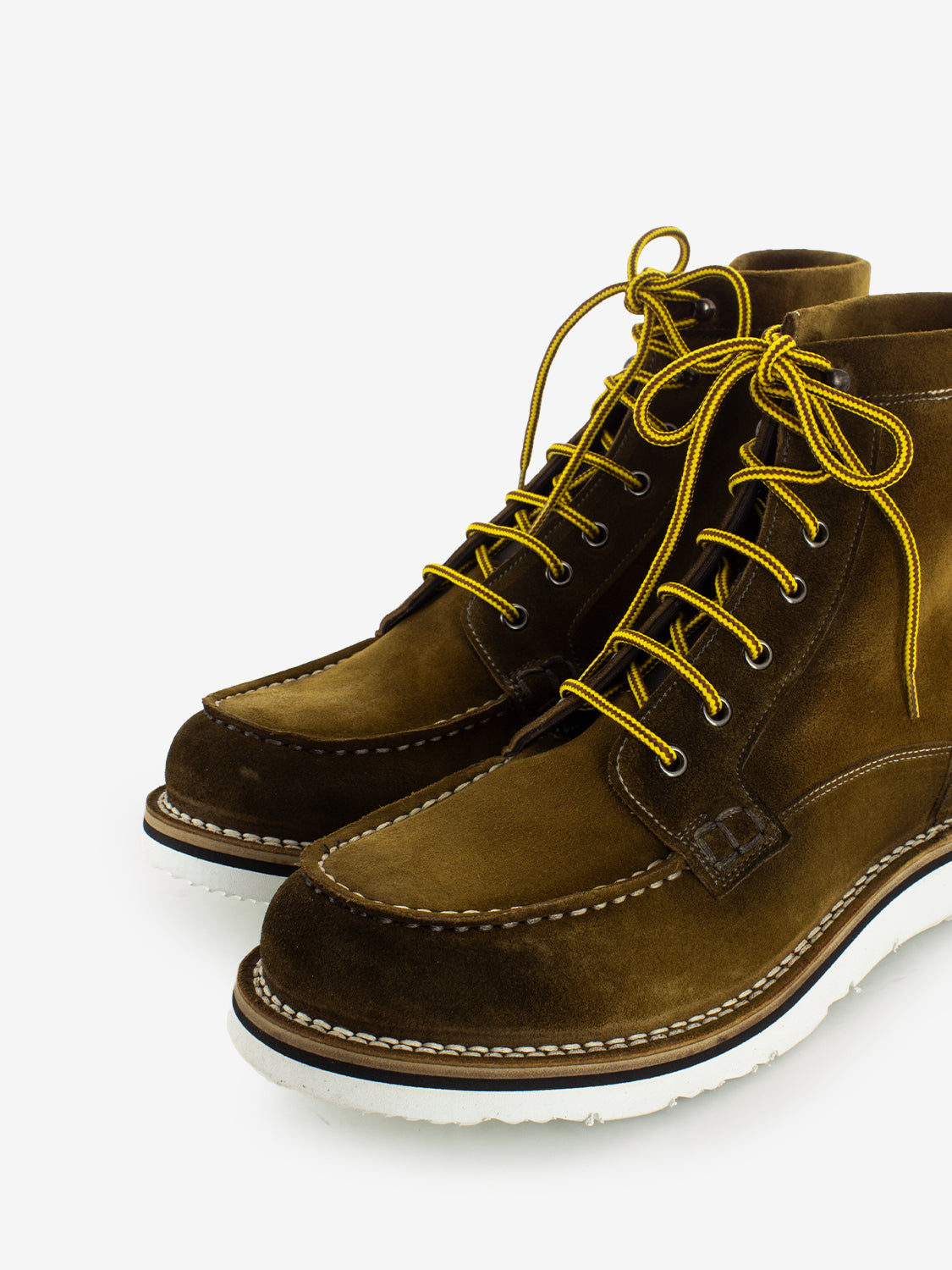 Polacco in suede curry