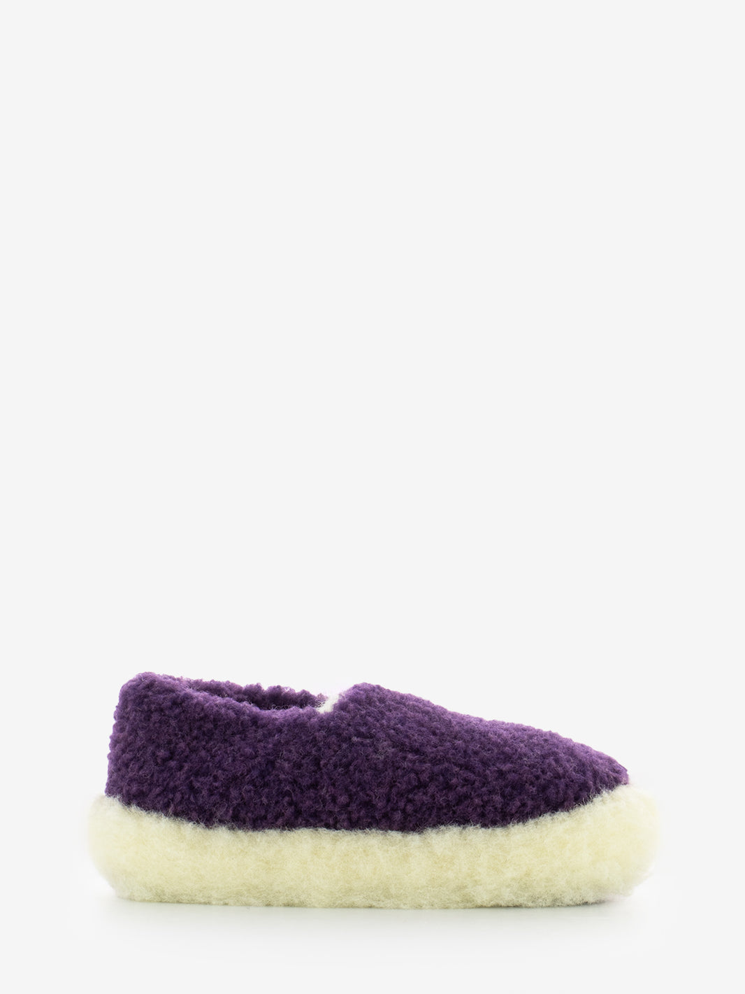 Slippers Siberian violet