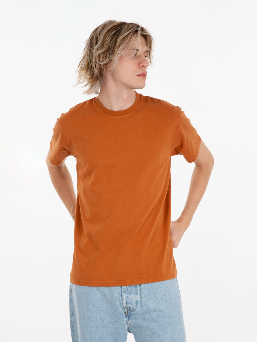Classic organic tee ginger brown