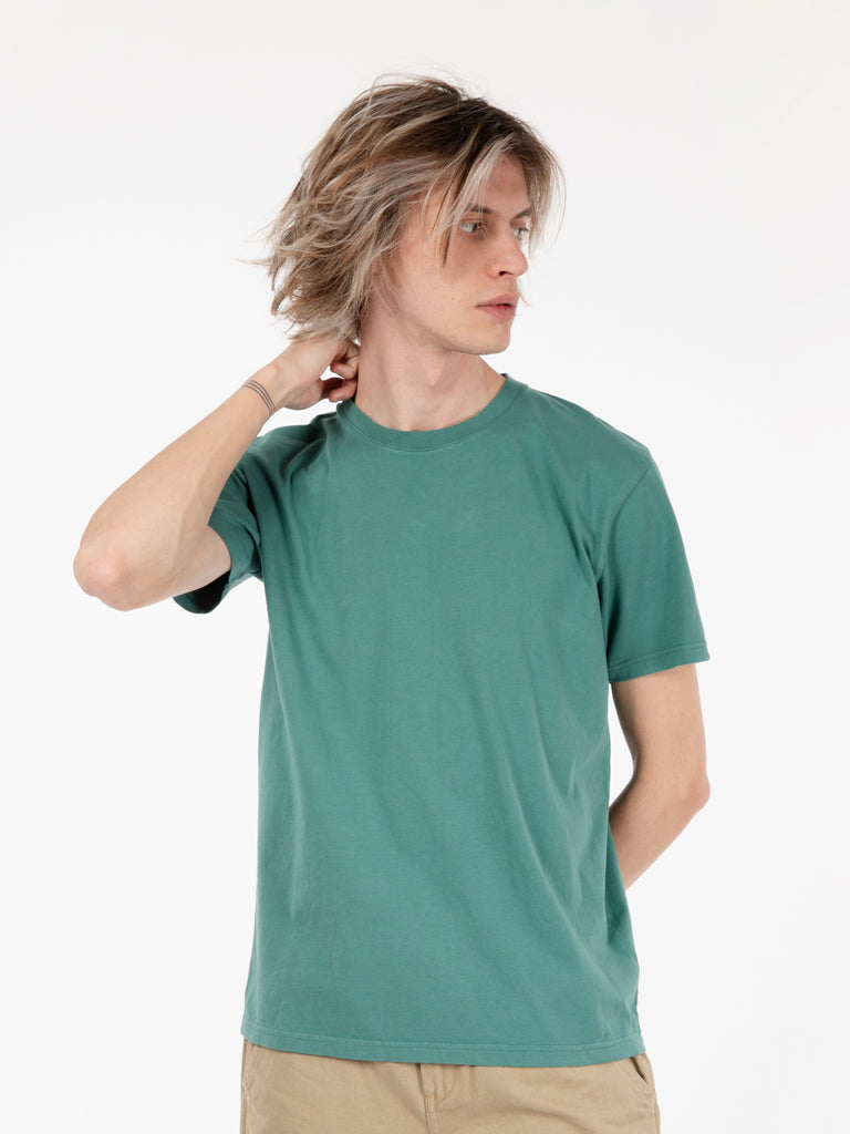 COLORFUL STANDARD - Classic organic tee pine green