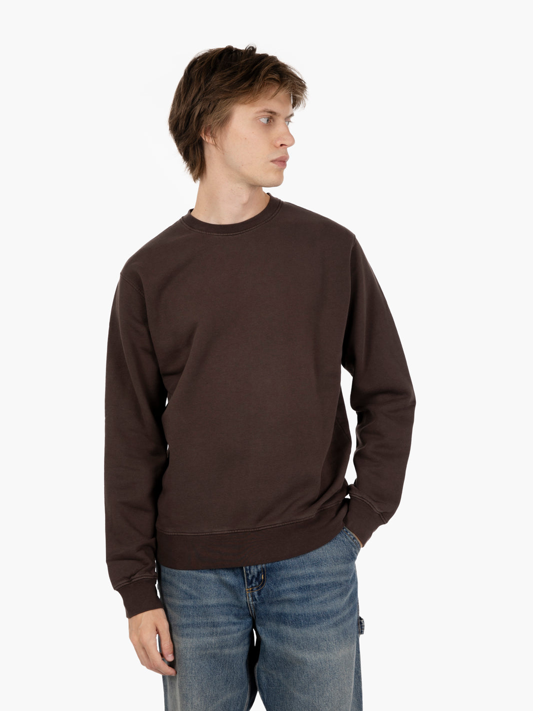 Classic Organic Crew coffee brown sweatshirt