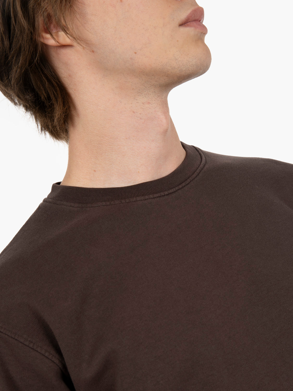 Felpa Classic Organic Crew coffee brown
