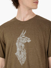 COTOPAXI - Into the pines t-shirt oak