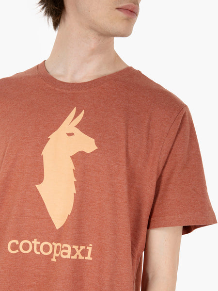 Llama t-shirt faded brick