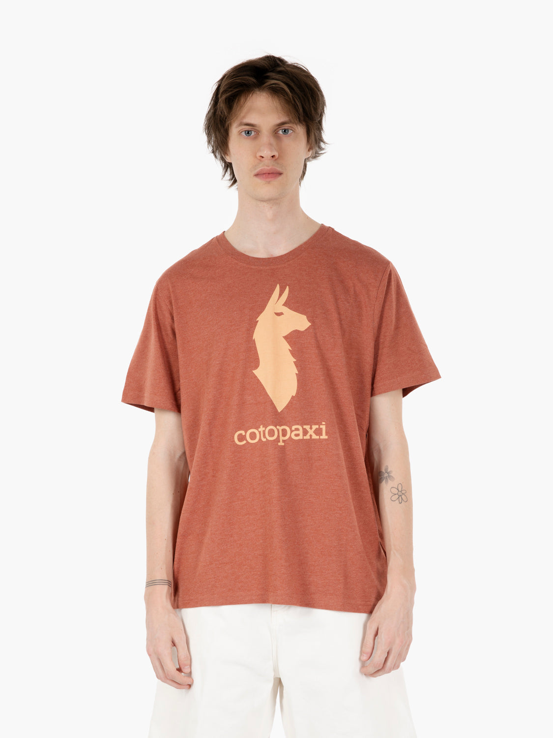 Llama t-shirt faded brick