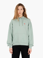 DICKIES - Millersburg hoodie W iceberg green