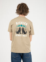 DICKIES - T-shirt Kerby desert sand