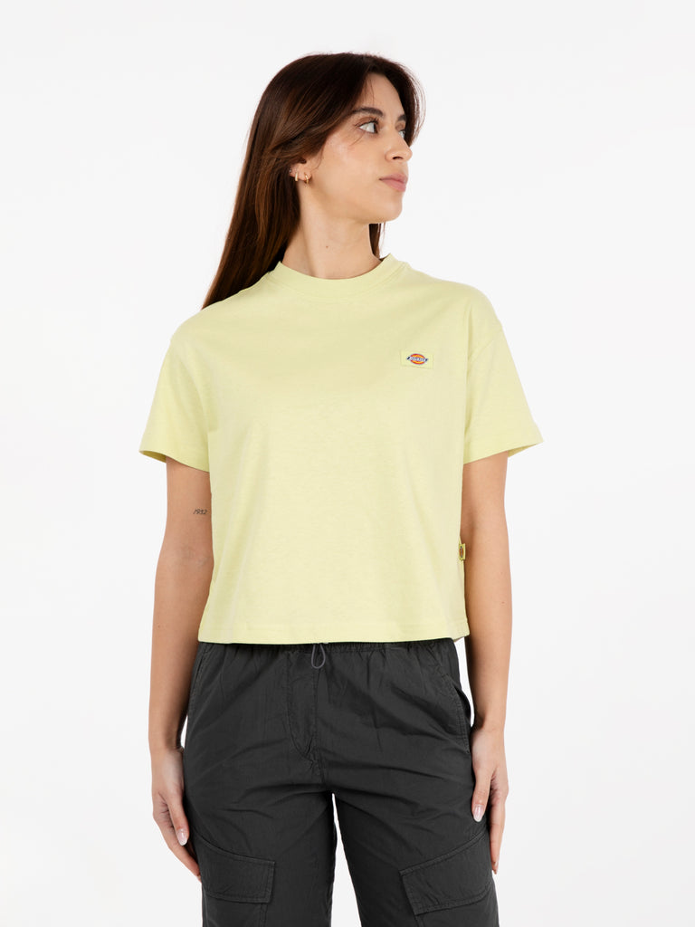 DICKIES - T-shirt Oakport Pale green