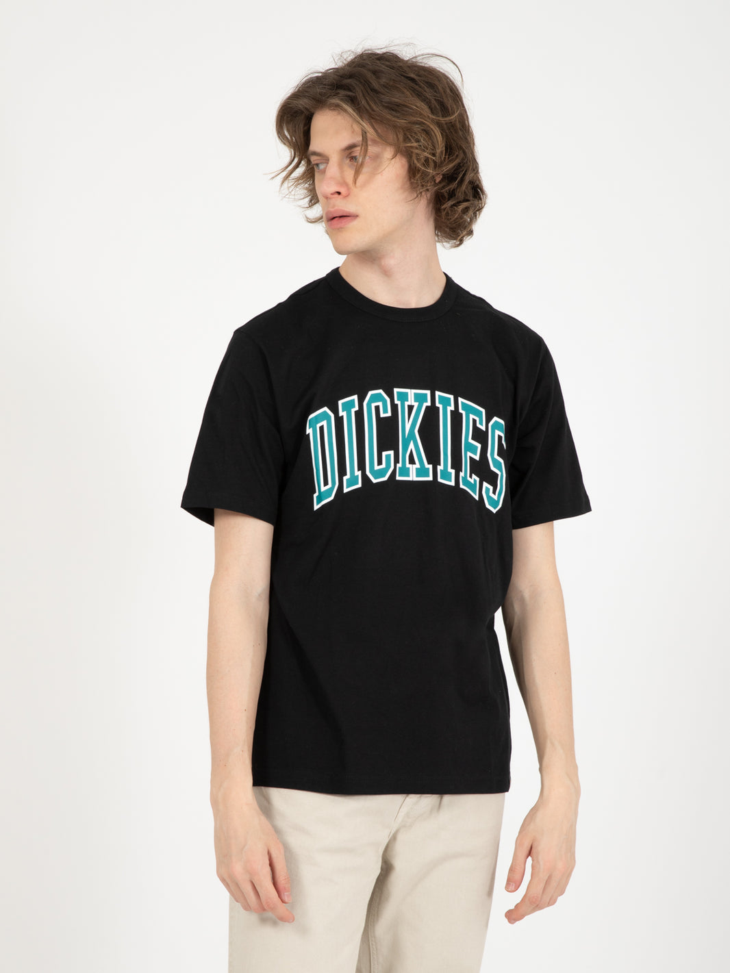 Aitkin black / deep lake t-shirts