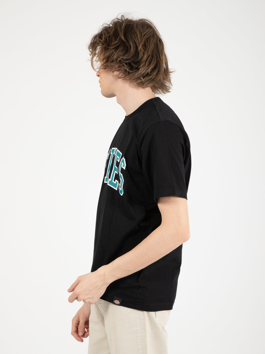 Aitkin black / deep lake t-shirts