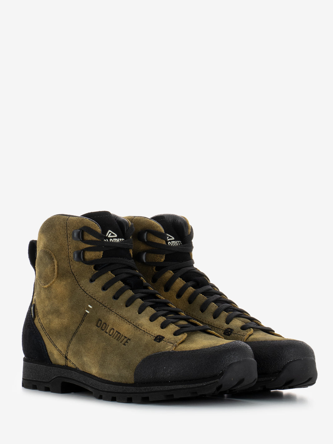 Shoe 54 High Dust GTX autumn brown