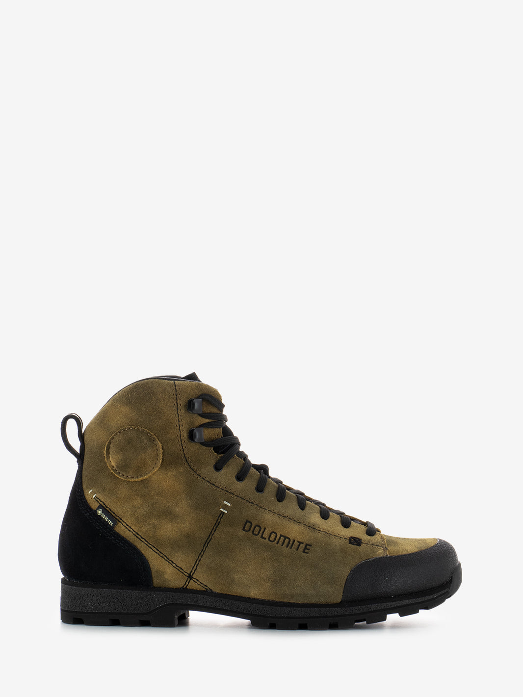 Shoe 54 High Dust GTX autumn brown