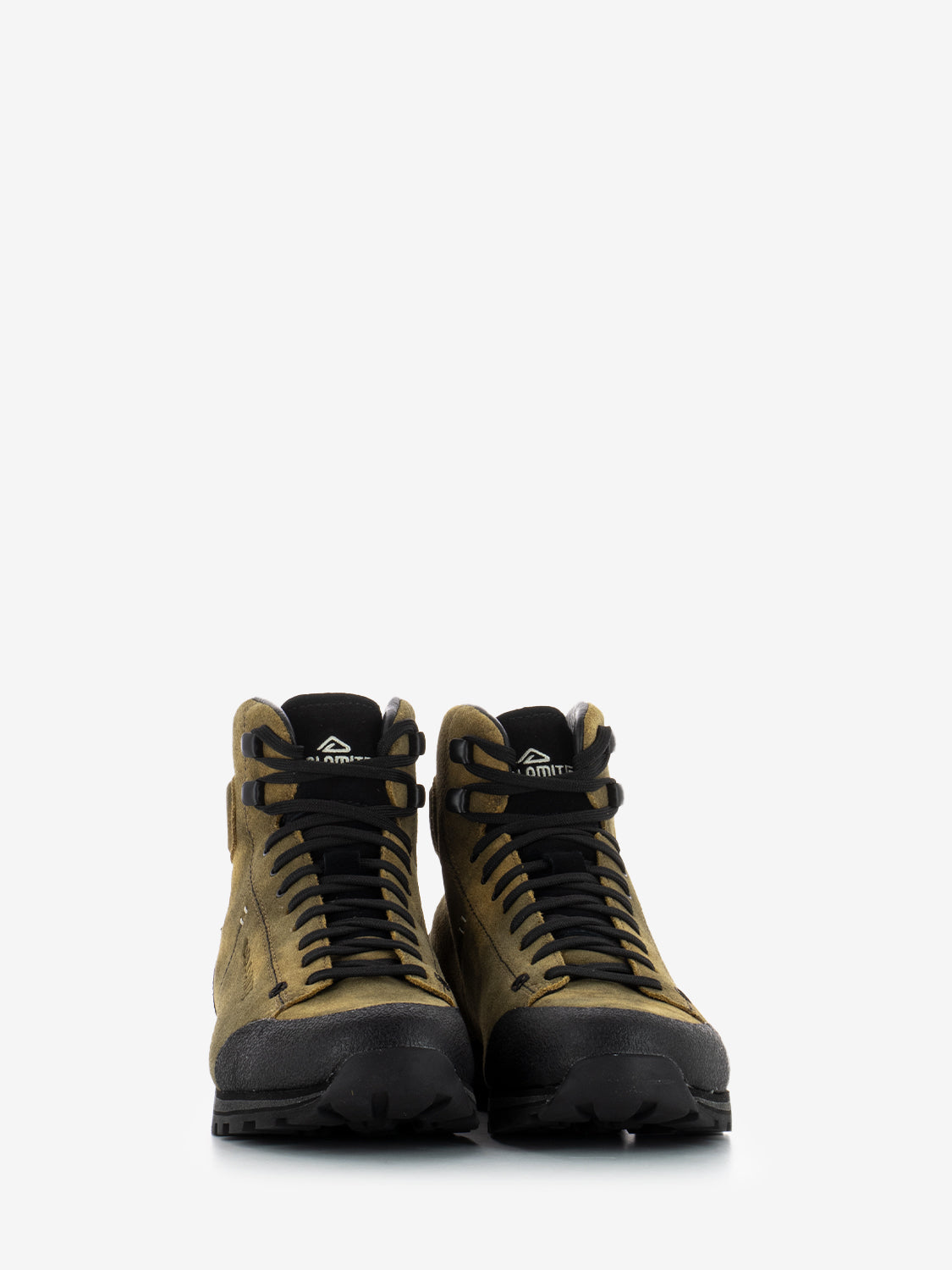 Shoe 54 High Dust GTX autumn brown