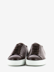 DOUCALS - Sneakers Roger marrone