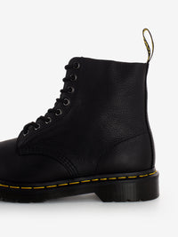 Pascal ambassador black amphibians