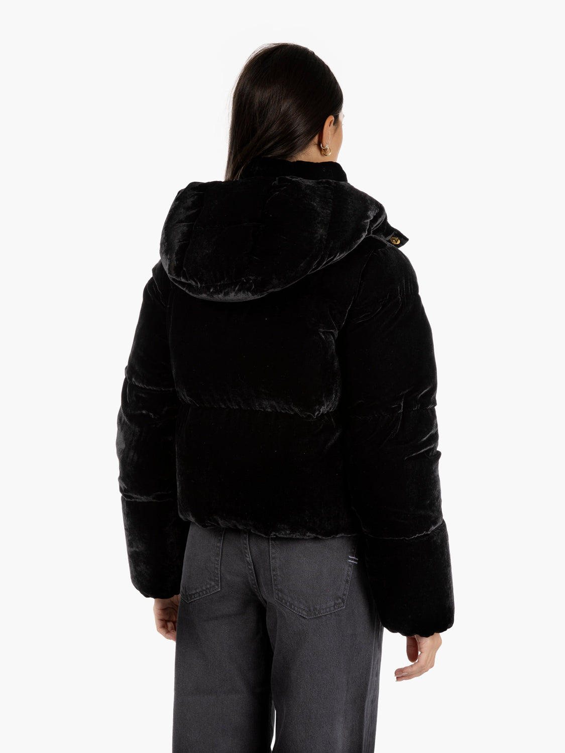 BLACK PADDED JACKET PI82D56E2_110