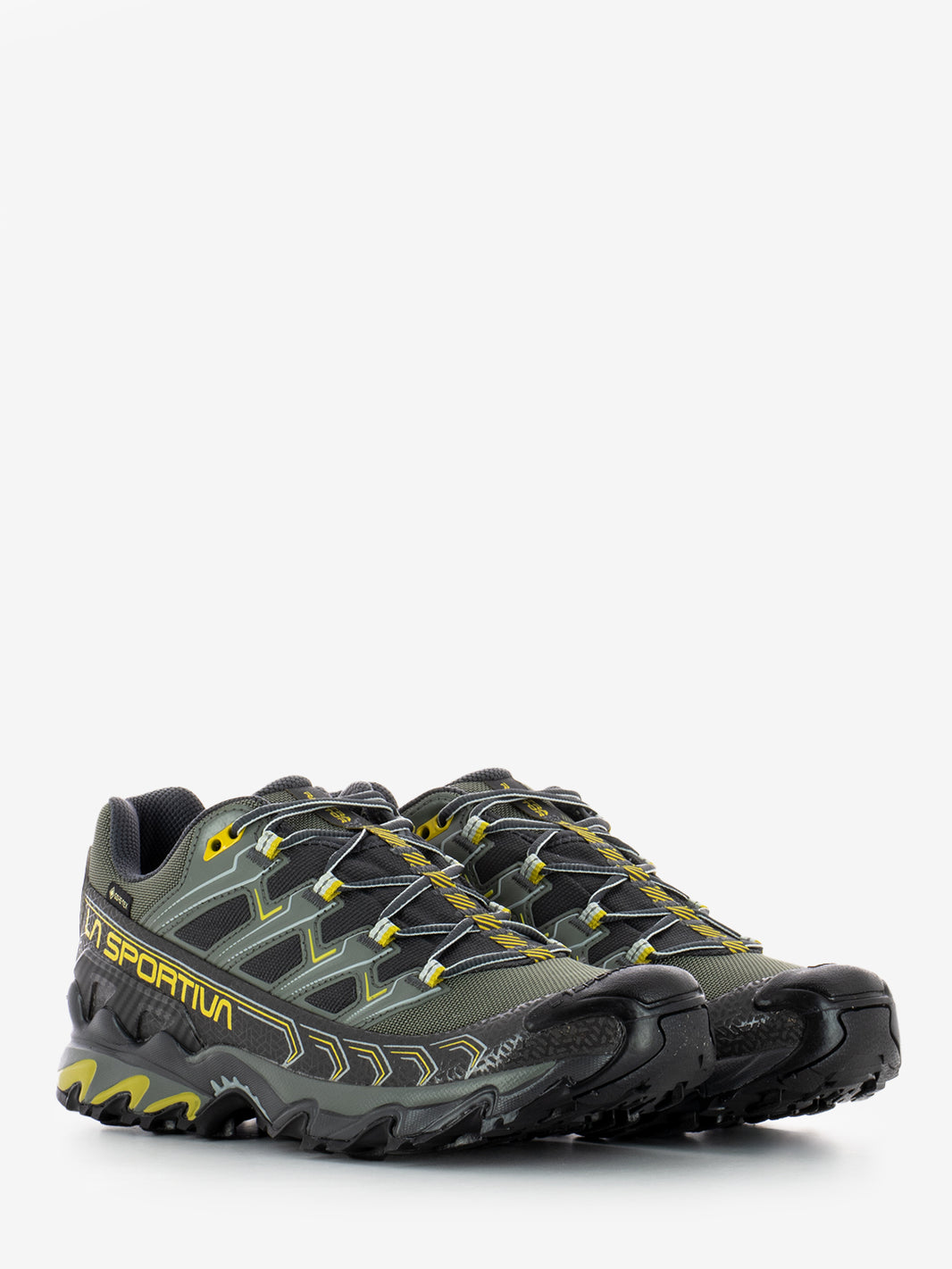 Sneakers Ultra Raptor II gtx carbon / moss