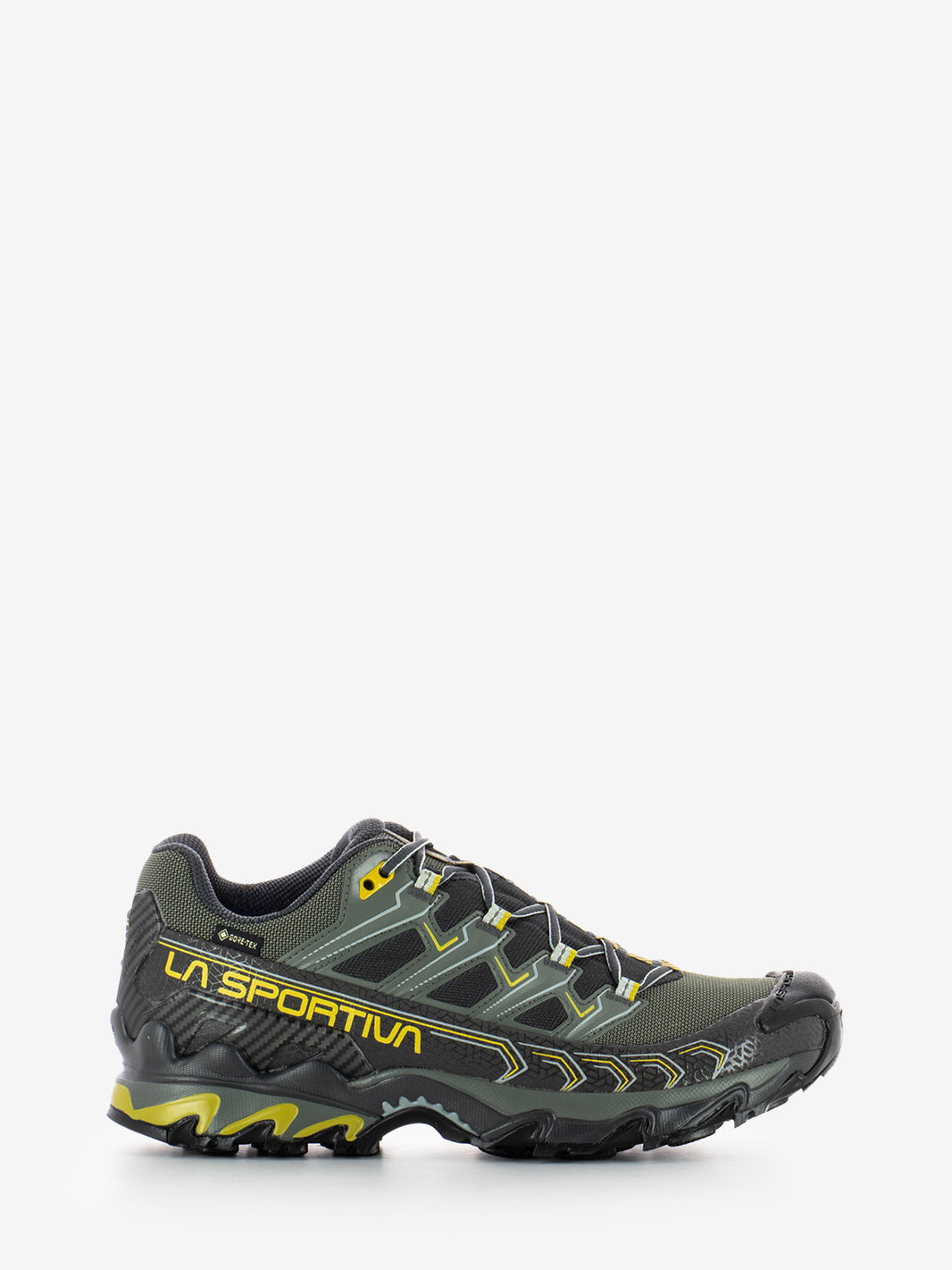 Sneakers Ultra Raptor II gtx carbon / moss