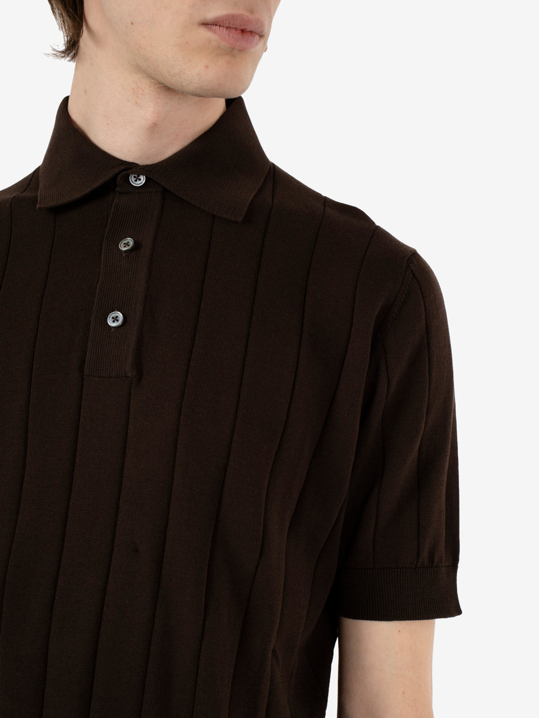 Polo manica corta testa di moro