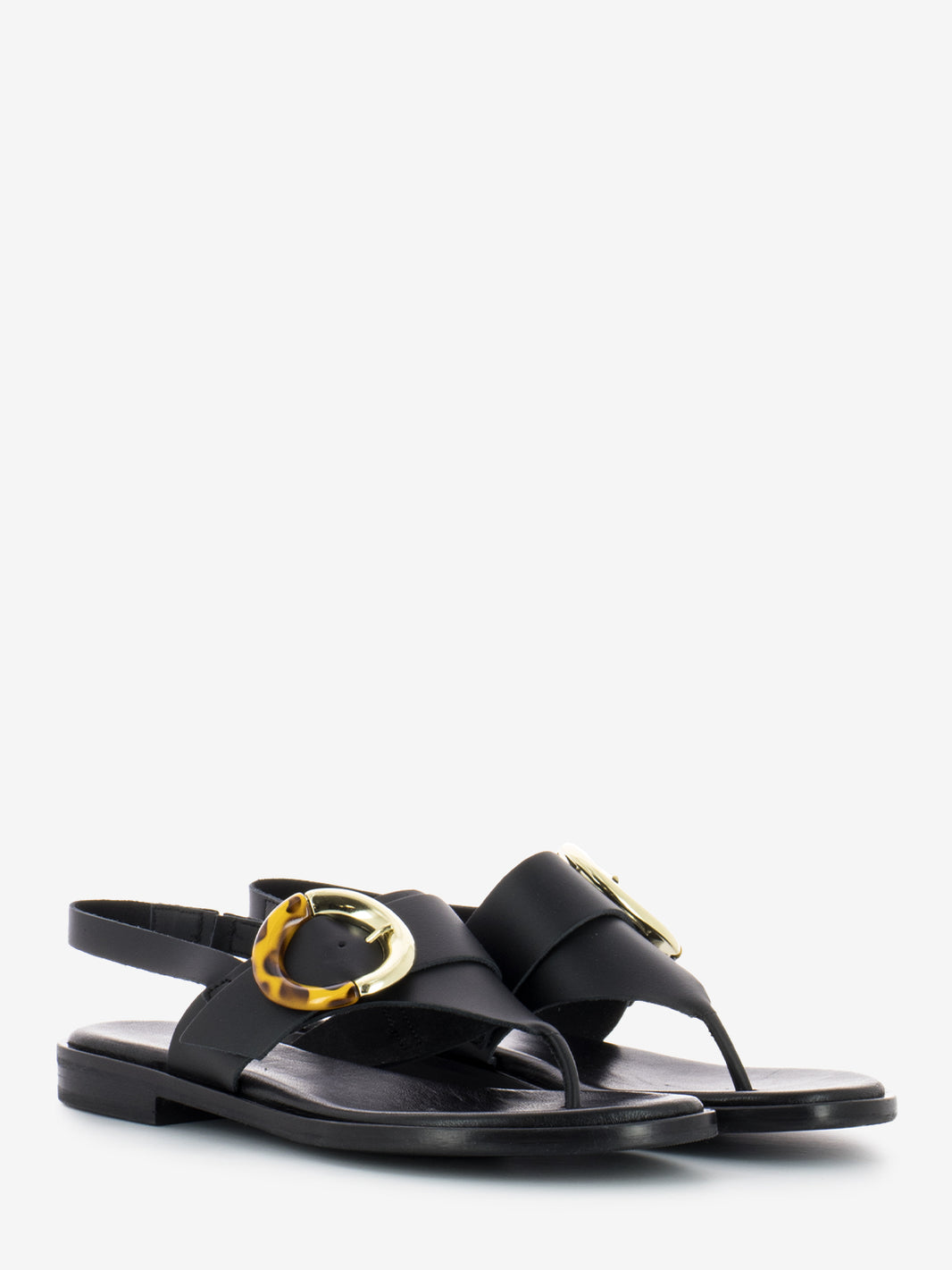 Sandali infradito London turtle nero