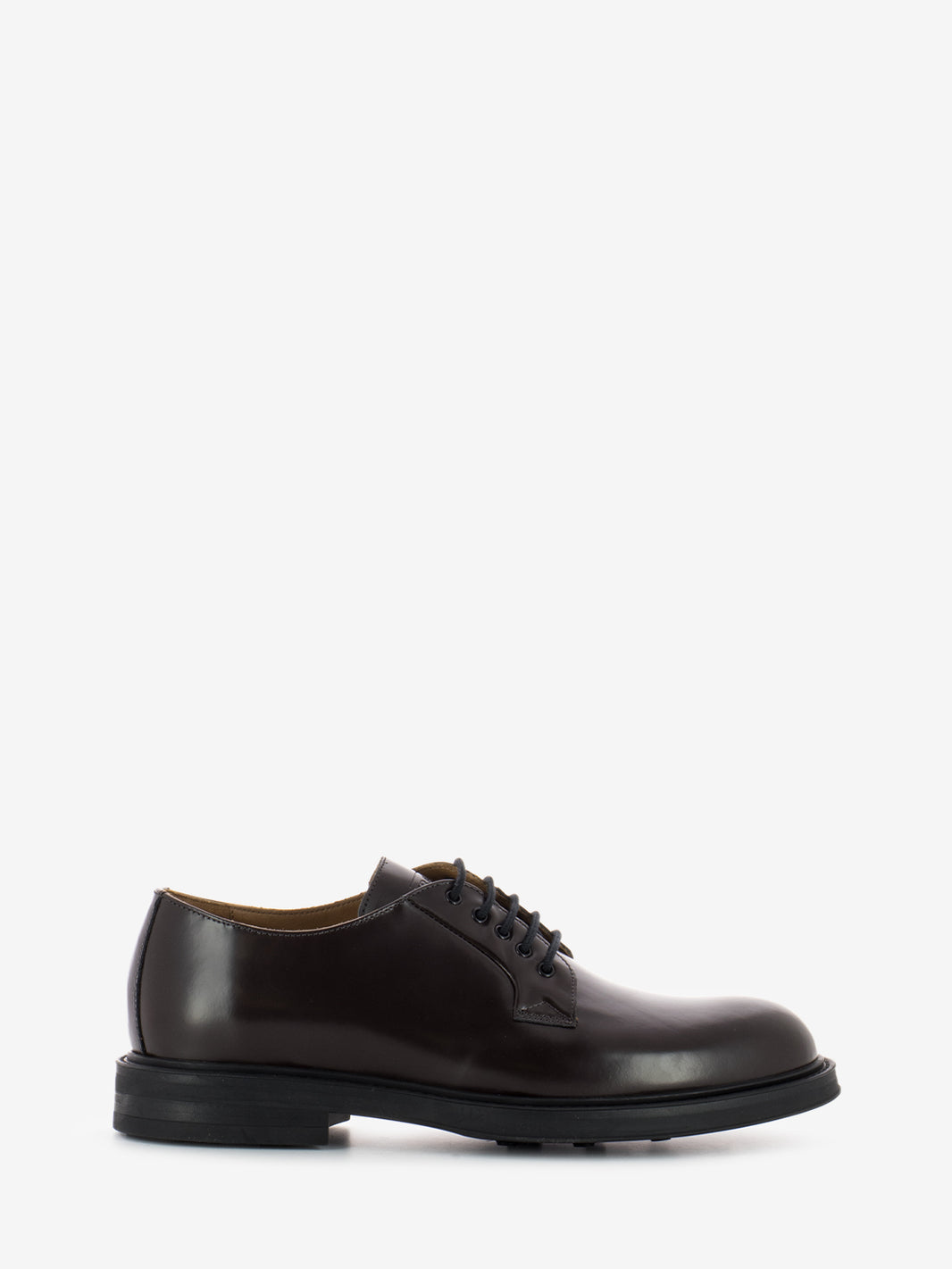 Scarpa derby Bristol mulberry