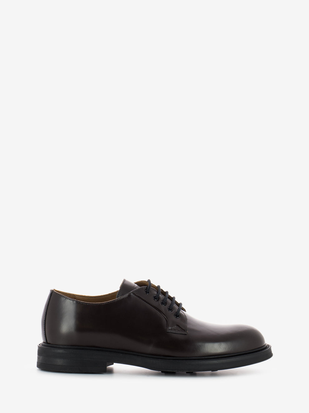 Scarpa derby Bristol mulberry