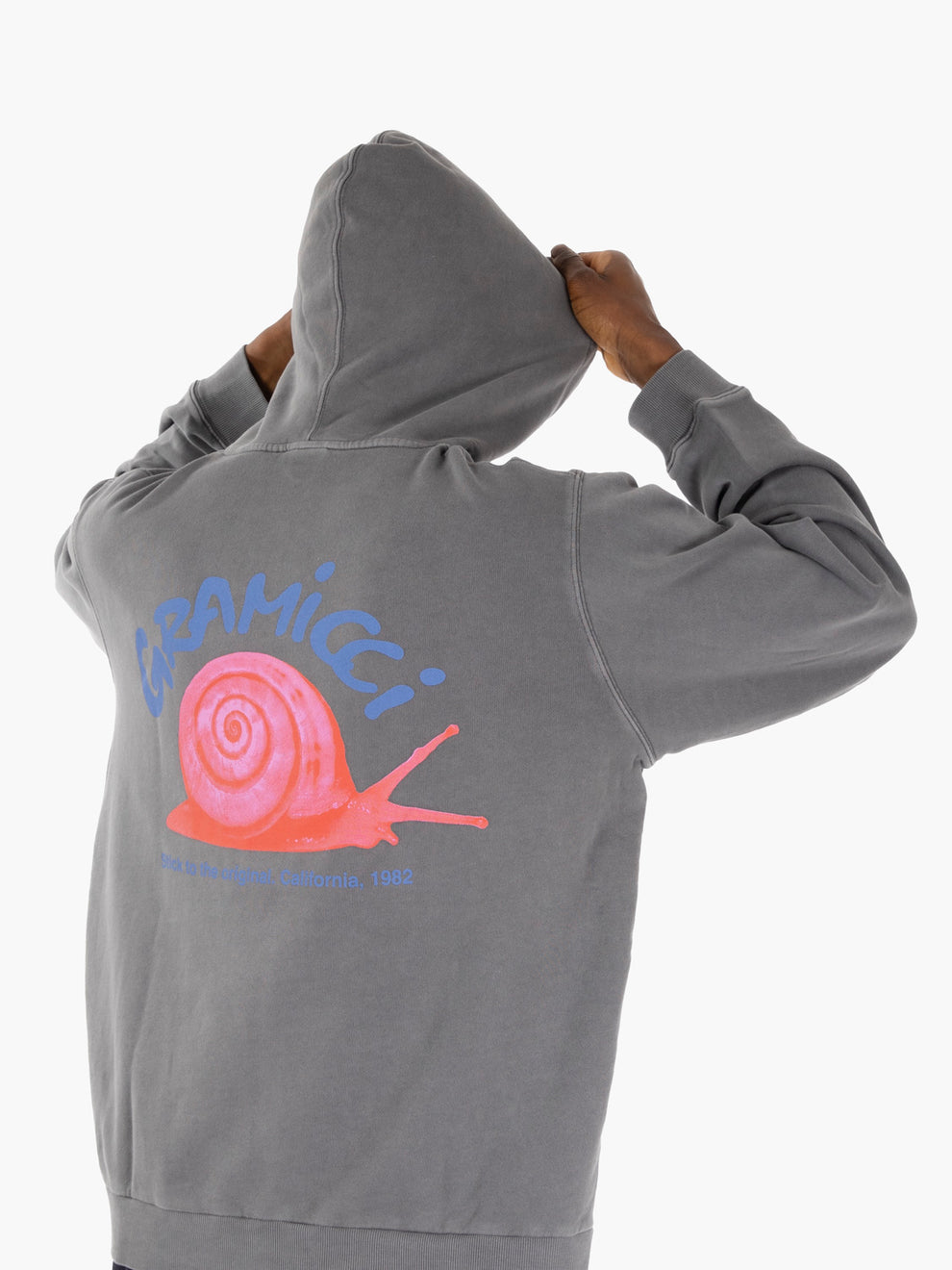Felpa Snail hooded charcoal pigment