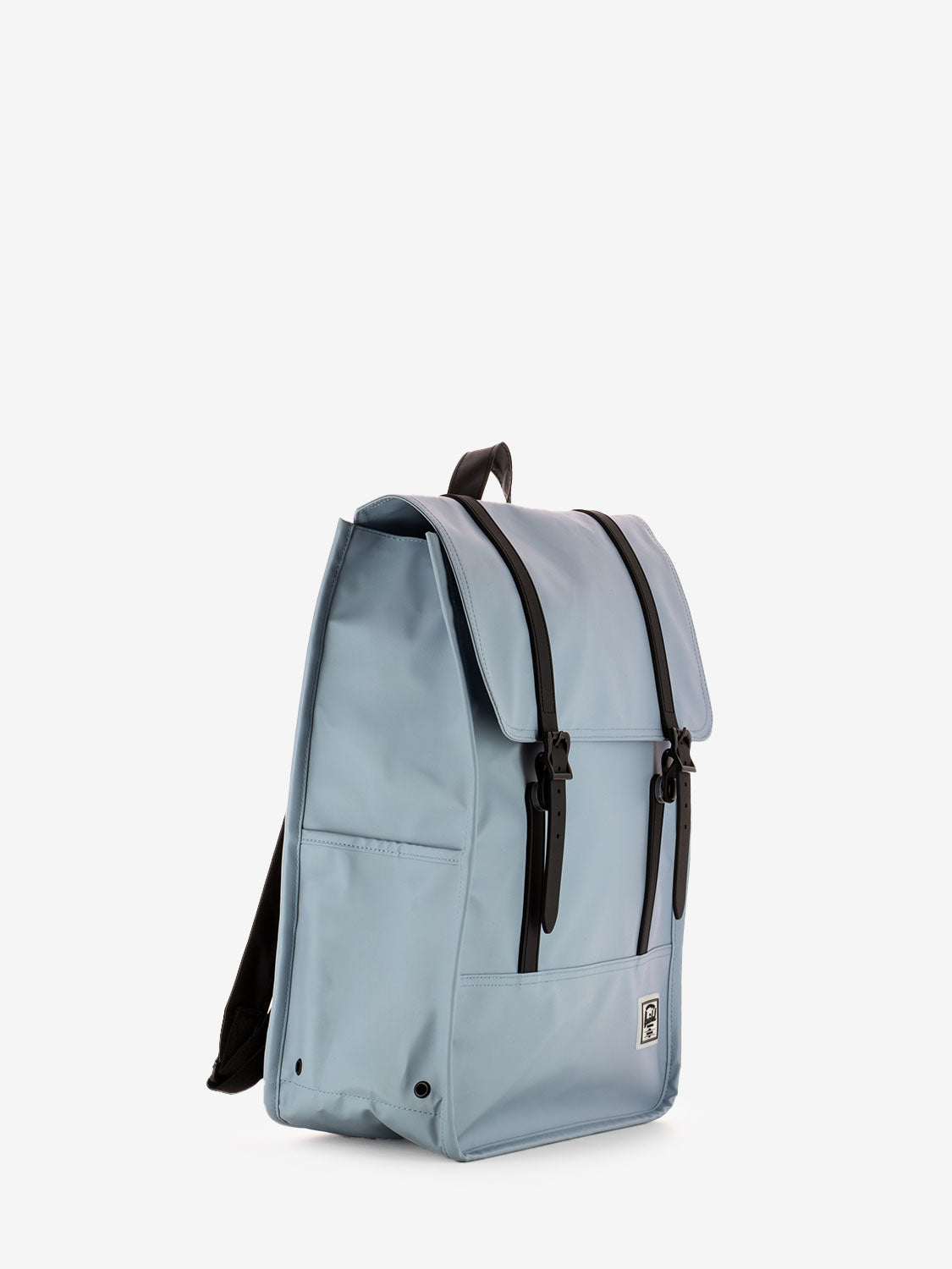 Zaino survey ashley blue