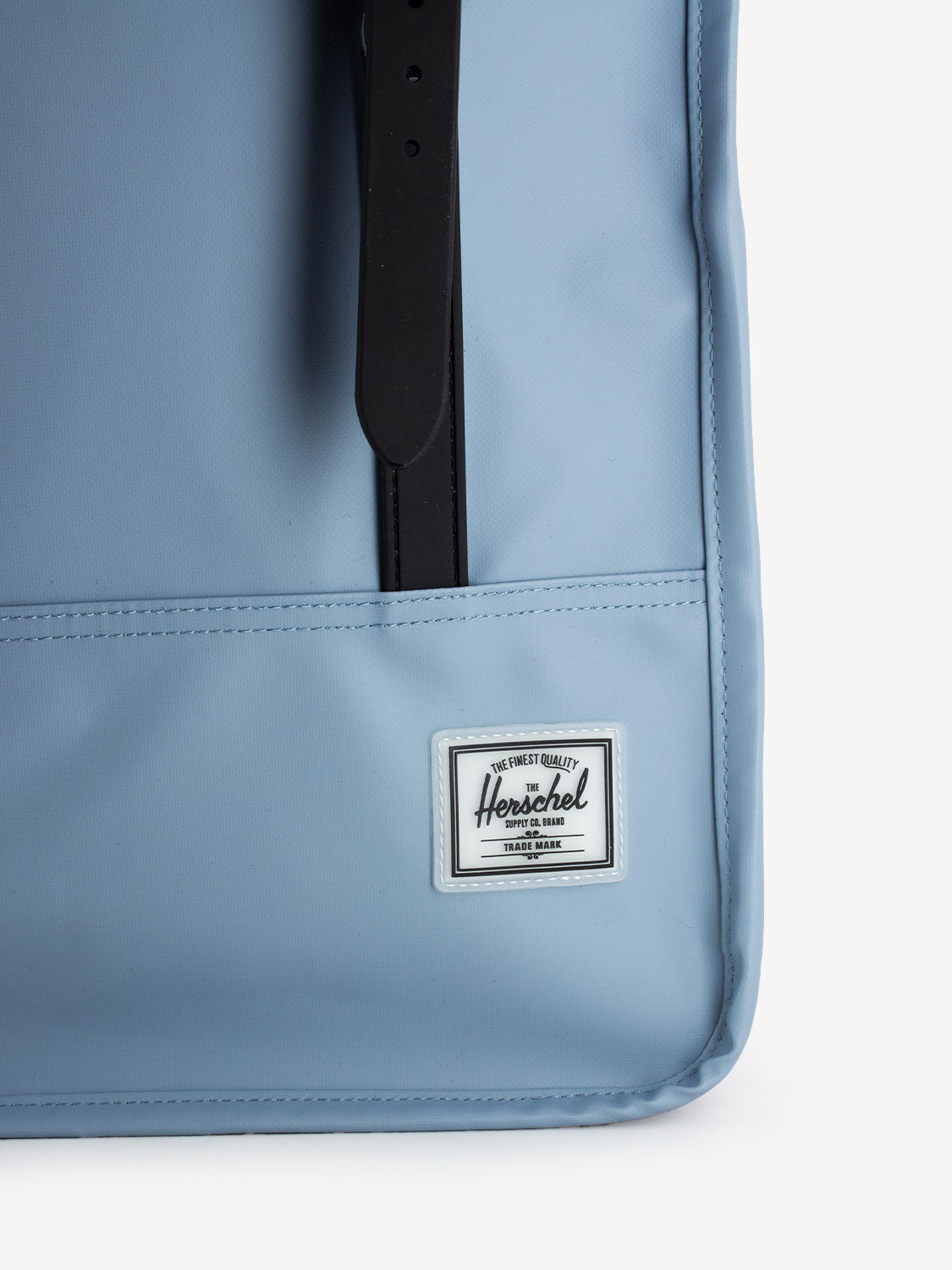 Zaino survey ashley blue