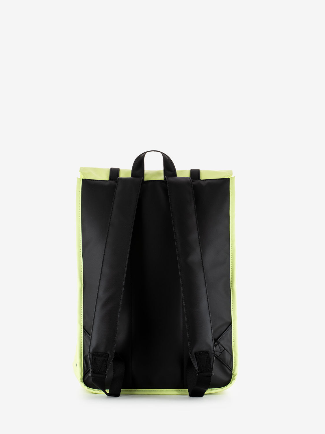 Zaino survey shadow lime