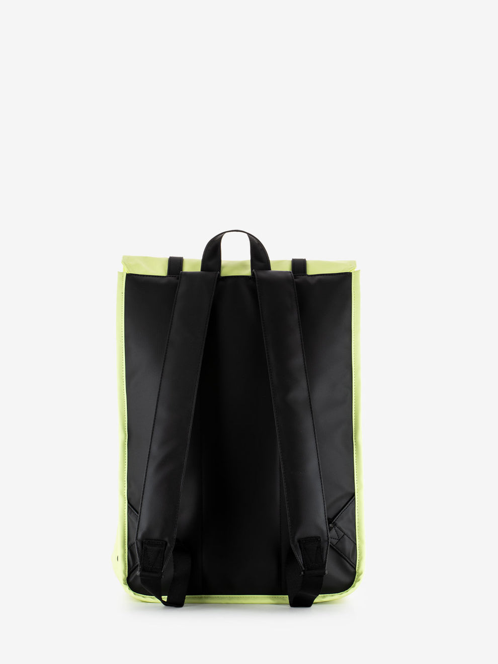 Zaino survey shadow lime