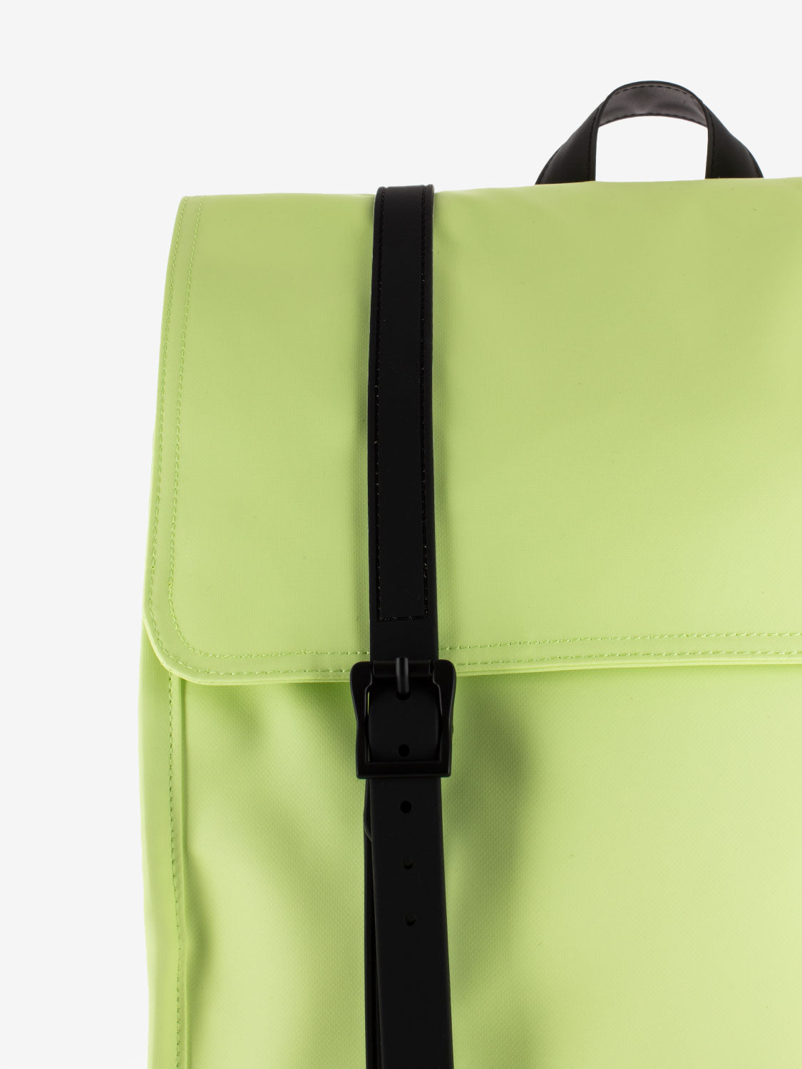 Zaino survey shadow lime