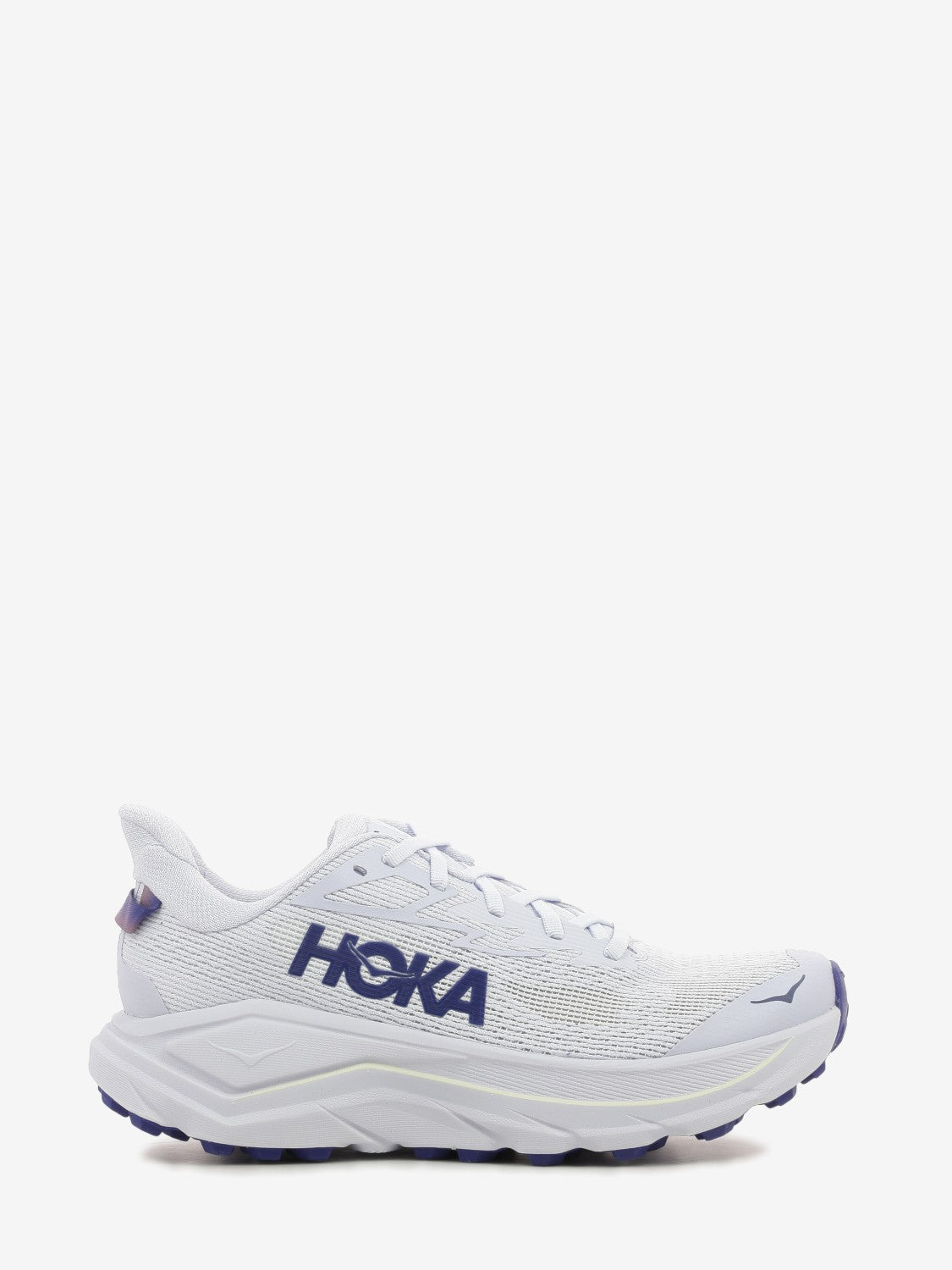 W Challenger 8 ambient blue / blueberry