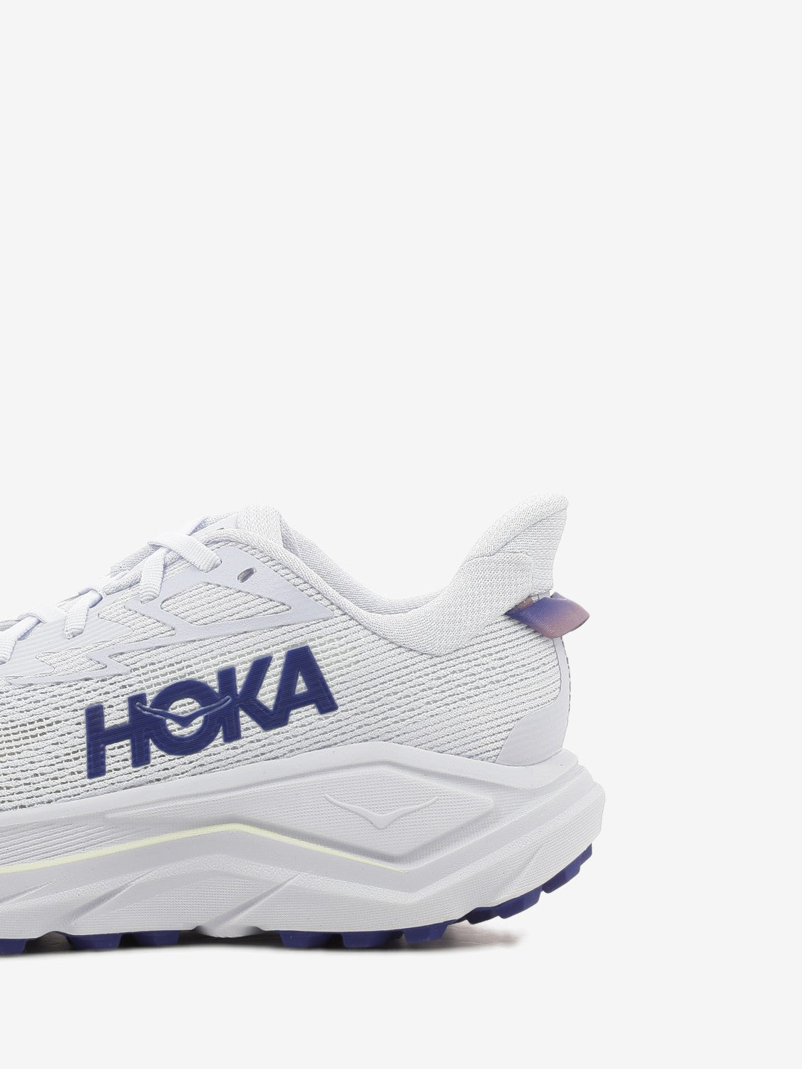 W Challenger 8 ambient blue / blueberry