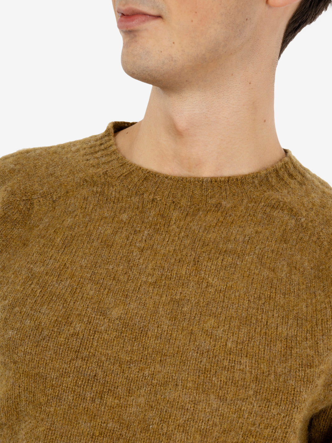 Herbal crush crew-neck sweater