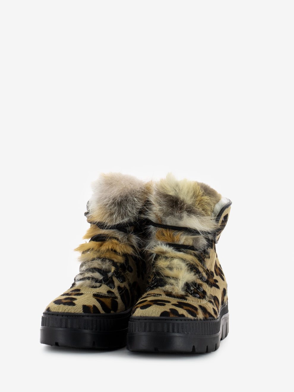 Polacco cavallino leopardo volpe nera