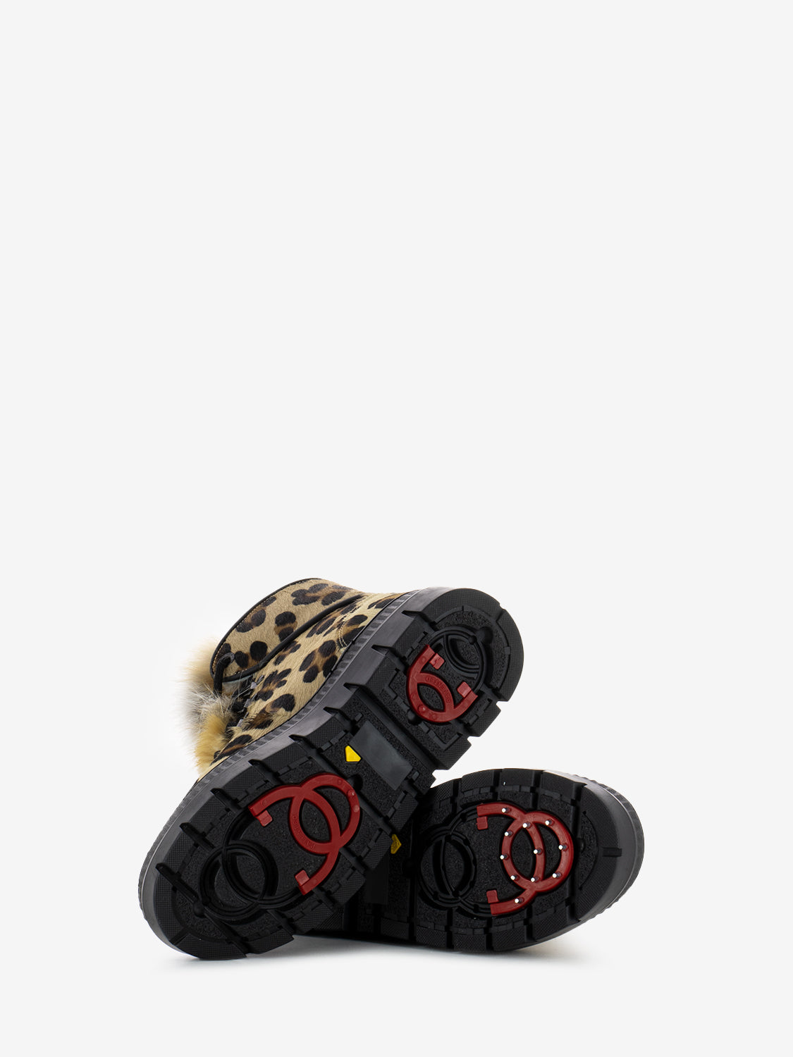 Polacco cavallino leopardo volpe nera