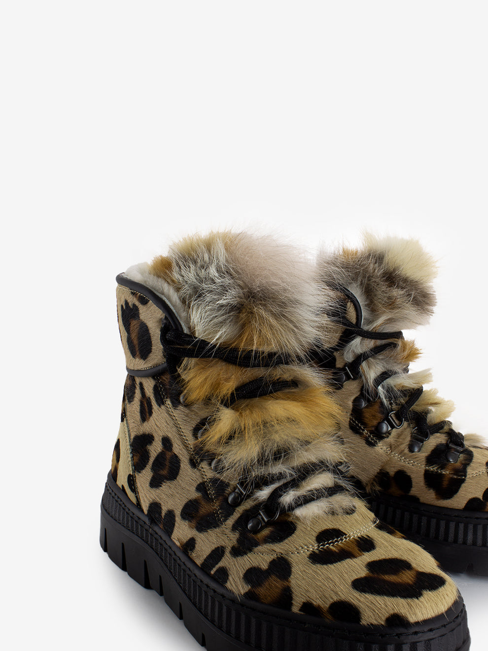 Polacco cavallino leopardo volpe nera