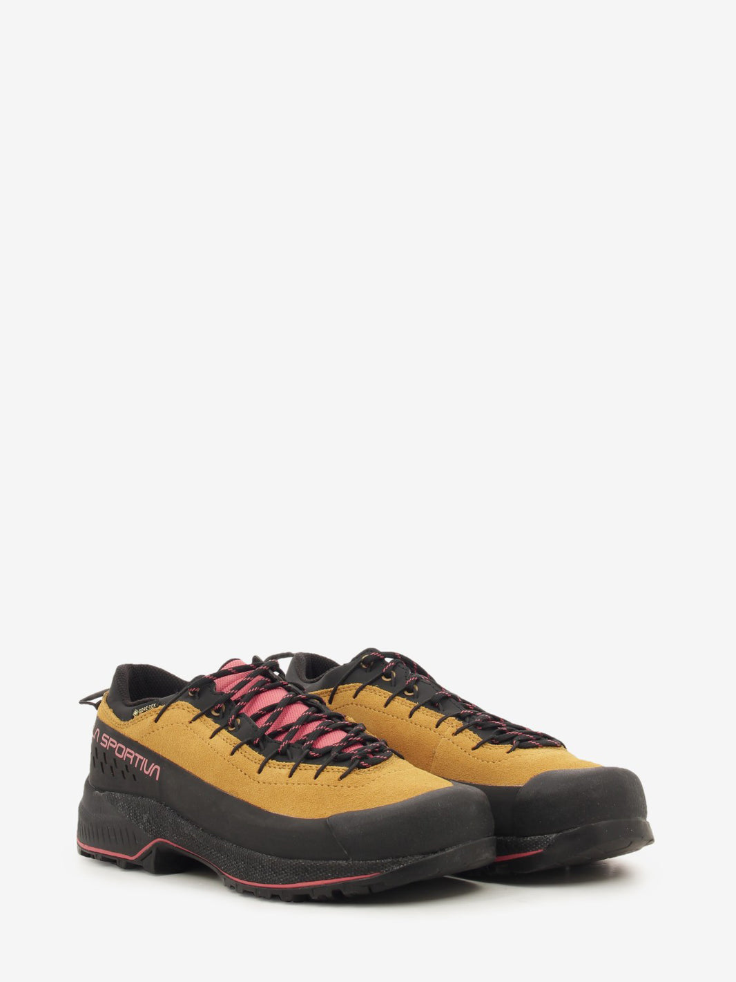 TX4 EVO W GTX wood / mineral red