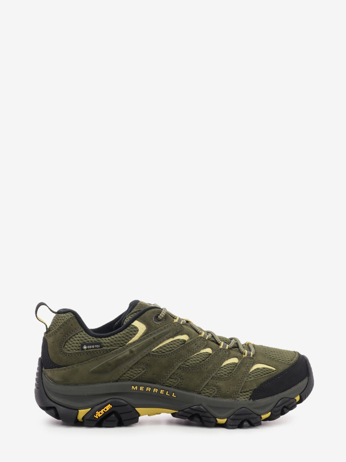 Moab 3 GTX Loden