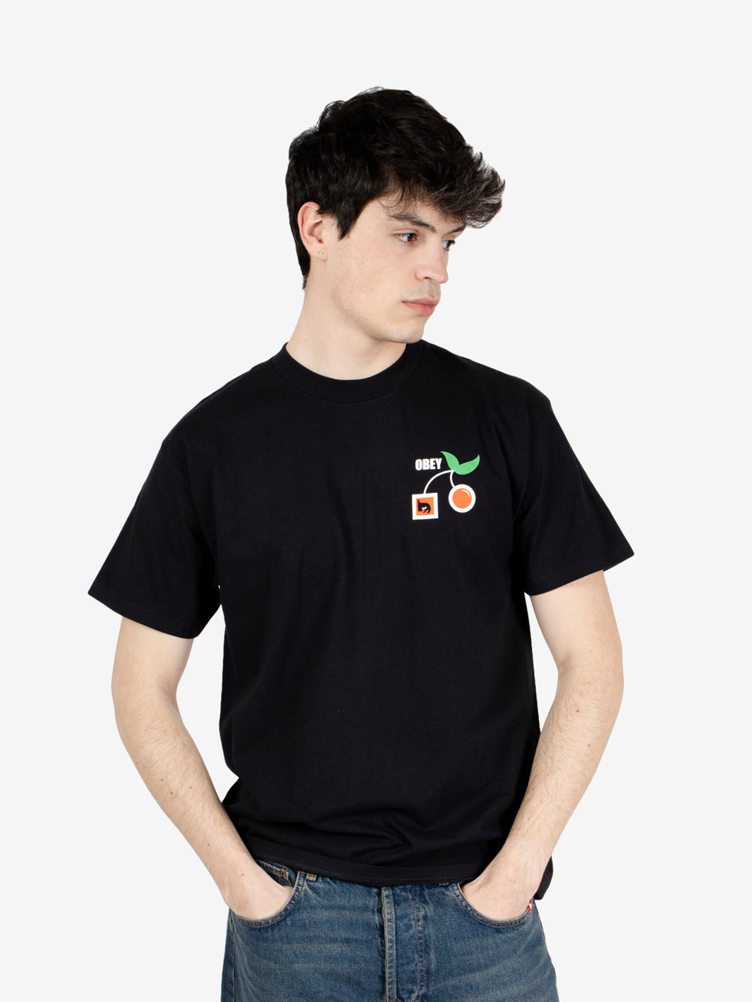 Alternative Lifestyles tee black
